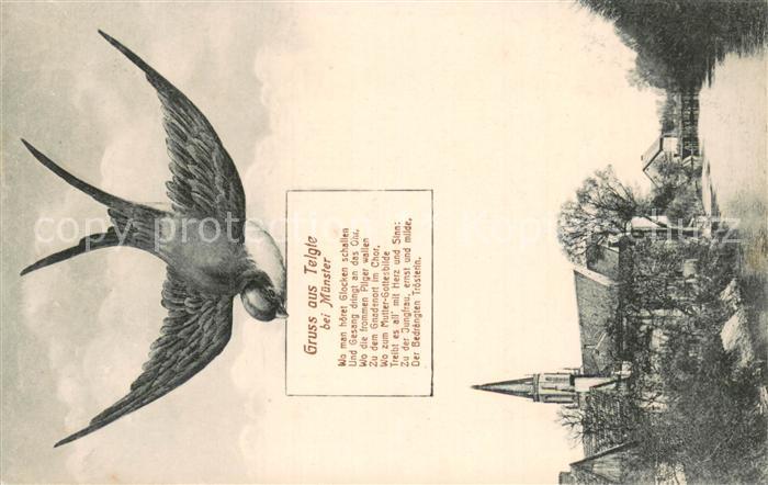 Telgte Warendorf Frommer Spruch auf Schwalbenkarte