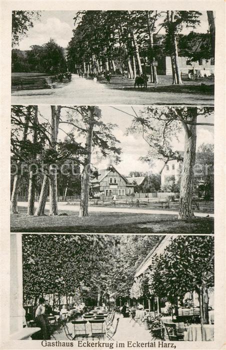 Eckertal Gasthaus Eckerkrug Gartenterrasse Allee