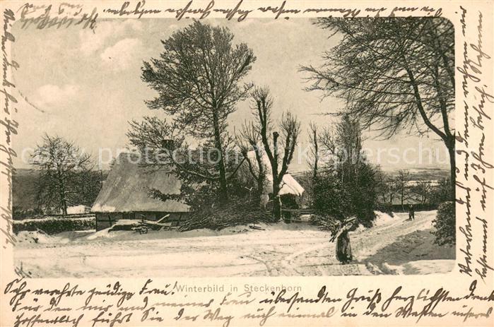 Steckenborn Winterpanorama