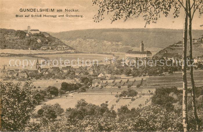 Gundelsheim Neckar Blick auf Schloss Hornegg und Guttenberg