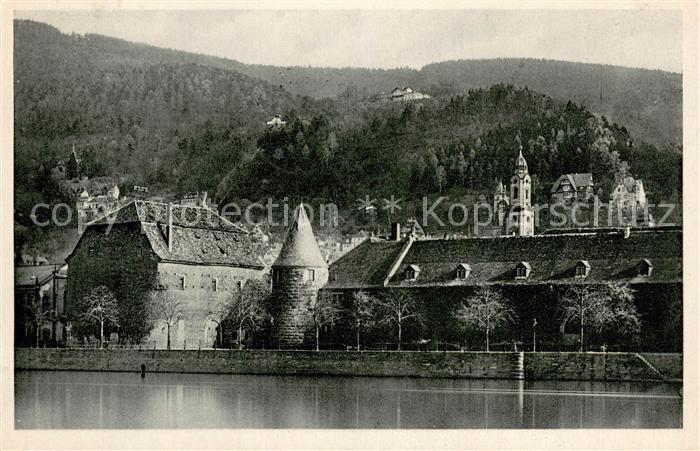 Heidelberg Neckar Marstall und Heuscheuer des Schlosses mit Molkenkur