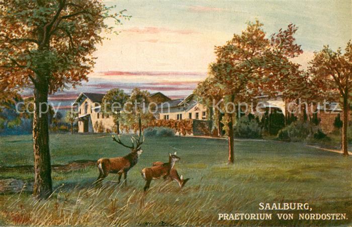 Saalburg Taunus Praetorium von Nordosten Kuenstlerkarte Feldpost