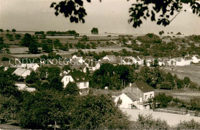 Trimport Gesamtansicht