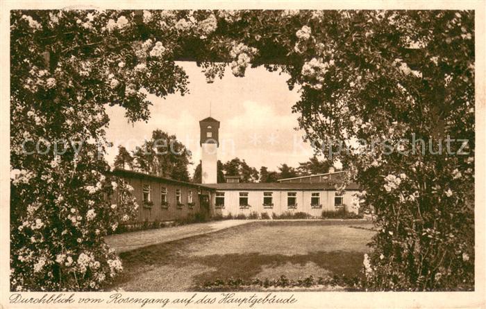 Friedrichsdorf Westfalen Kinder und BDM Kurheim Senne I