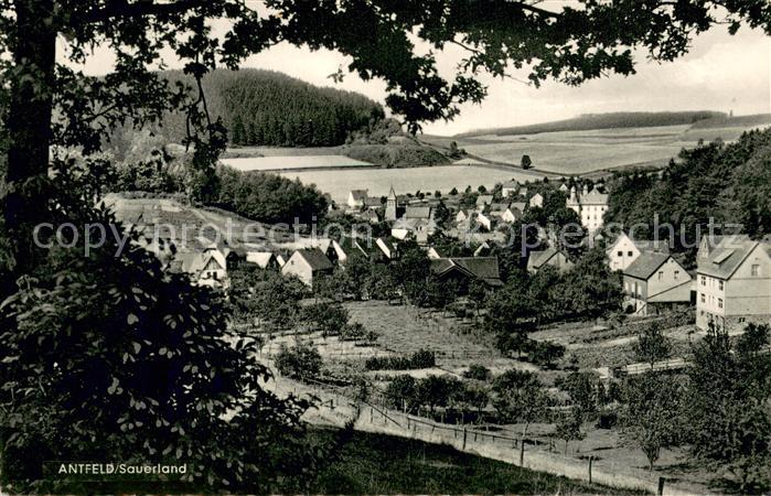 Antfeld Panorama