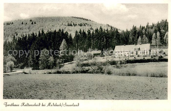 Medebach Forsthaus Kaltenscheid