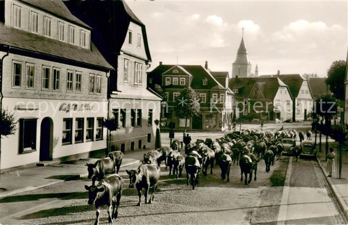 Winterberg Hochsauerland Viehauftrieb