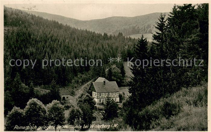 Winterberg Hochsauerland Daubermuehle Panorama