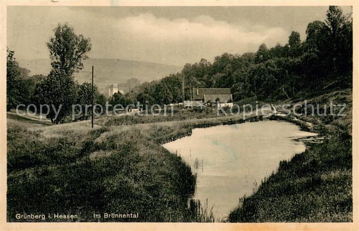Gruenberg  Hessen Im Bruennental