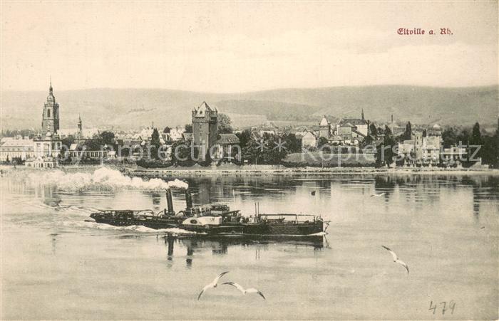 Eltville Rhein Panorama Dampfer