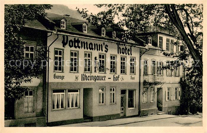 Schlangenbad Taunus Pottmanns Hotel Rheingauer Hof