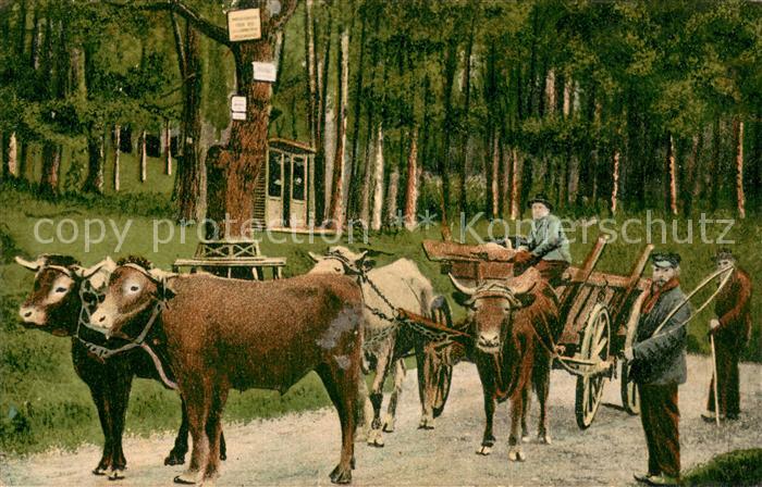 Koblenz Rhein Partie im Coblenzer Stadtwald mit Ochsenkarren