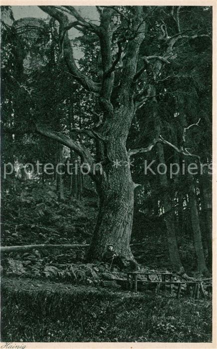 Lauterbach Hessen Hainig