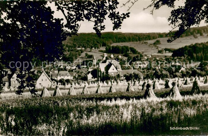 Schoenbach Dillkreis Teilansicht