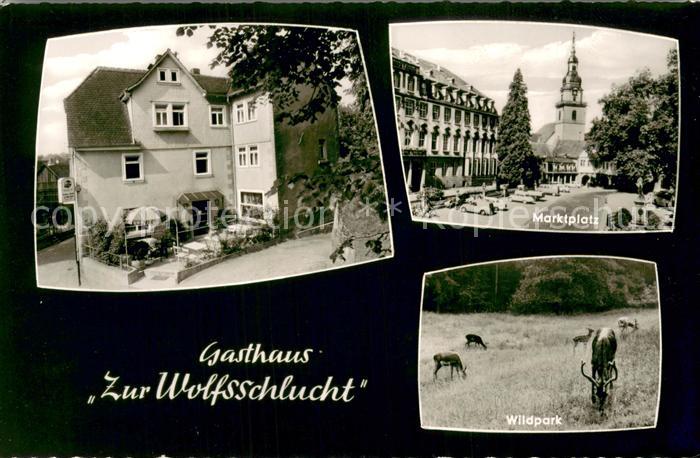 Erbach Odenwald Gasthaus Zur Wolfsschlucht Marktplatz Wildpark