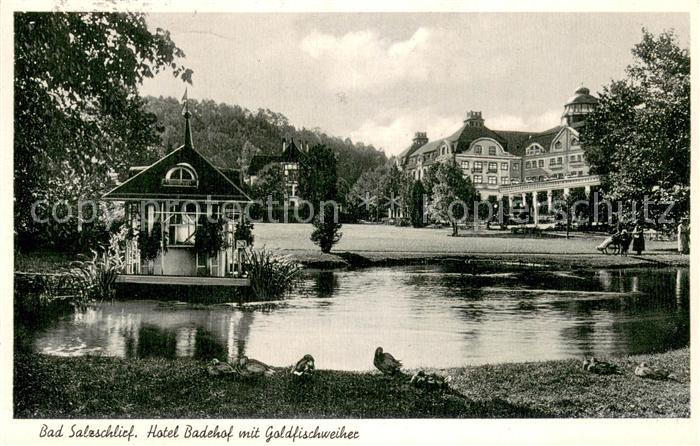 Bad Salzschlirf Hotel Badehof mit Goldfischweiher