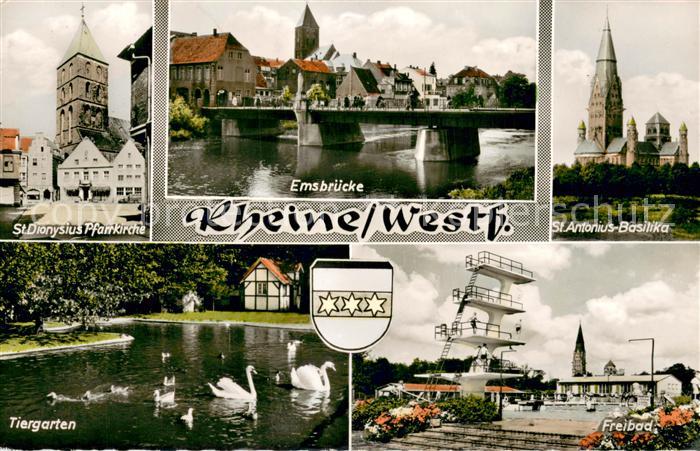 Rheine Emsbruecke St. Anonius-Basilika St. Dionysuis-Pfarrkirche Tiergarten Frei