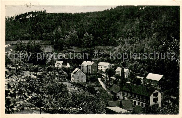 Krippen Bad Schandau Teilansicht