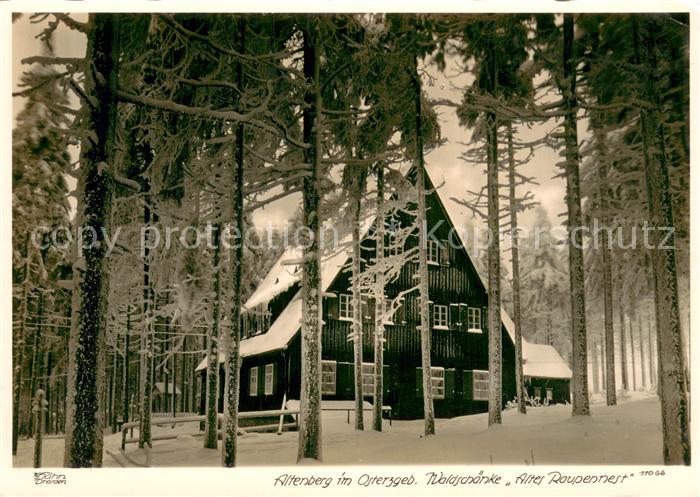 Altenberg Erzgebirge Waldschaenke Alter Raupennest im Schnee