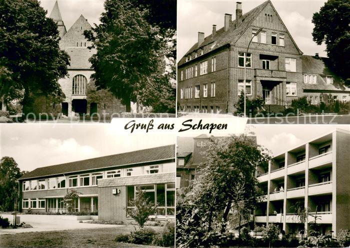 Schapen Emsland Teilansichten