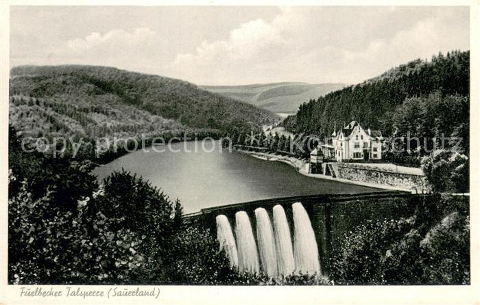 Altroggenrahmede Fuelbecker Talsperre