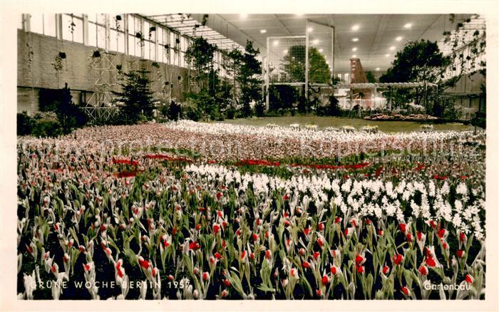 BERLIN  CITY Gruene Woche