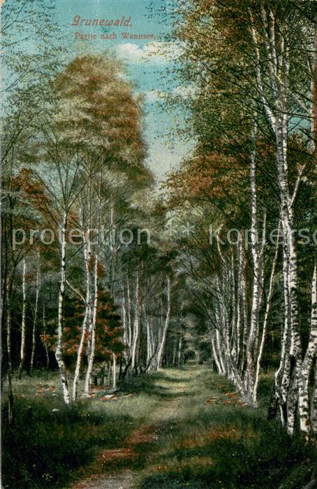 Grunewald Berlin Partie am Wannsee