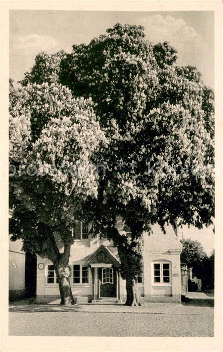 Wedel Pinneberg Roland Weinstuben Aussenansicht
