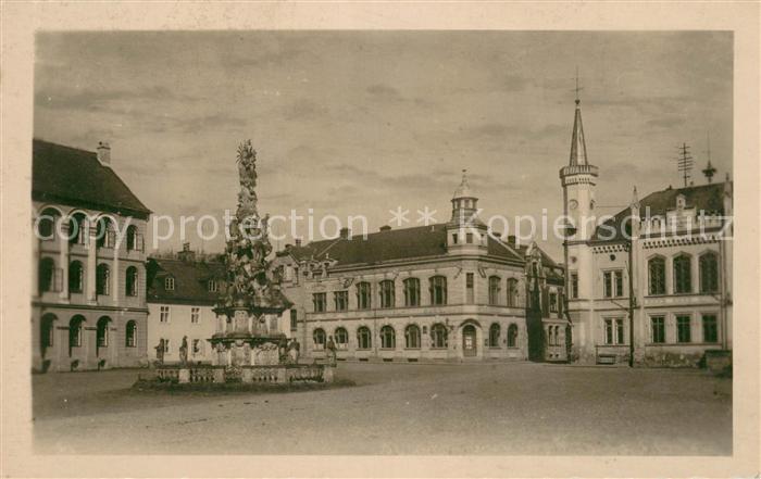 Zakupy Reichstadt Czechia Namestf.