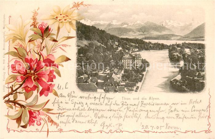 Thun BE Teilansicht und die Alpen