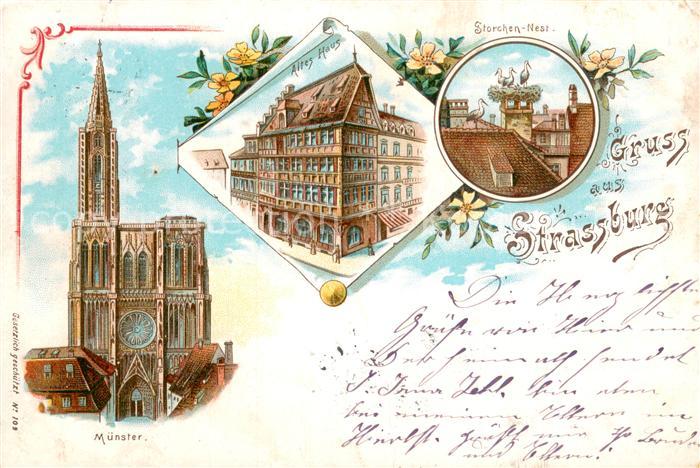 Strassburg Elsass Storchen Nest Münster