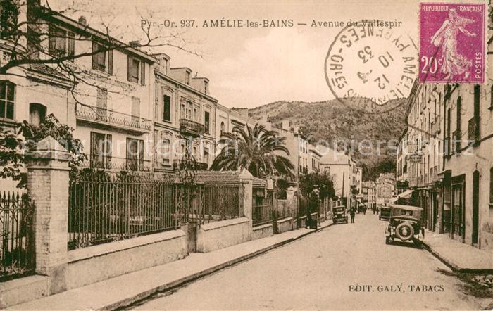Amelie-les-Bains-Palalda 66 Avenue du Vallespir