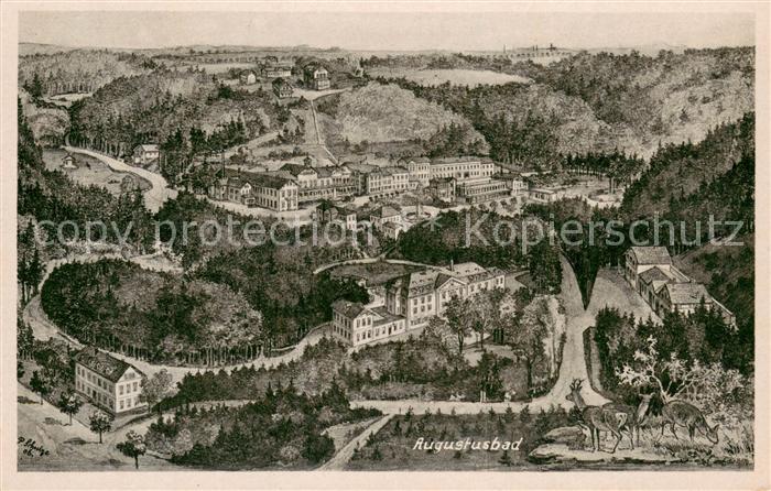 Augustusbad-Liegau Panorama
