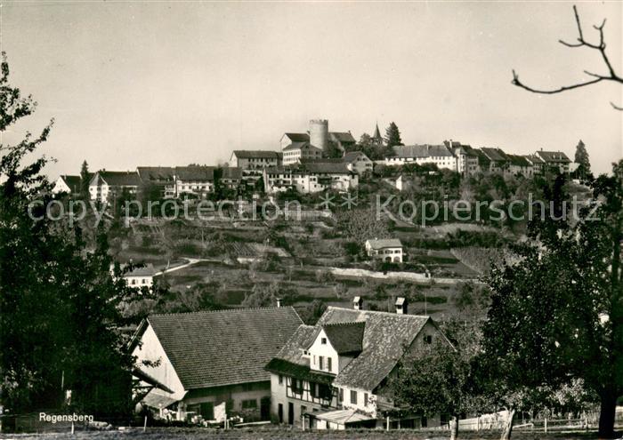 Regensberg Dielsdorf Panorama