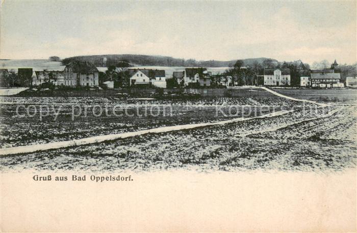 Bad Oppelsdorf Opolno Zdroj Panorama