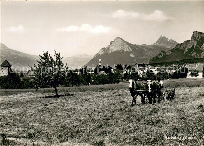 Maienfeld GR Panorama Pferdegespann