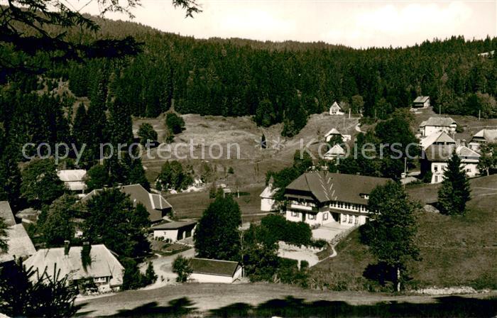 Ruette Todtmoos Panorama