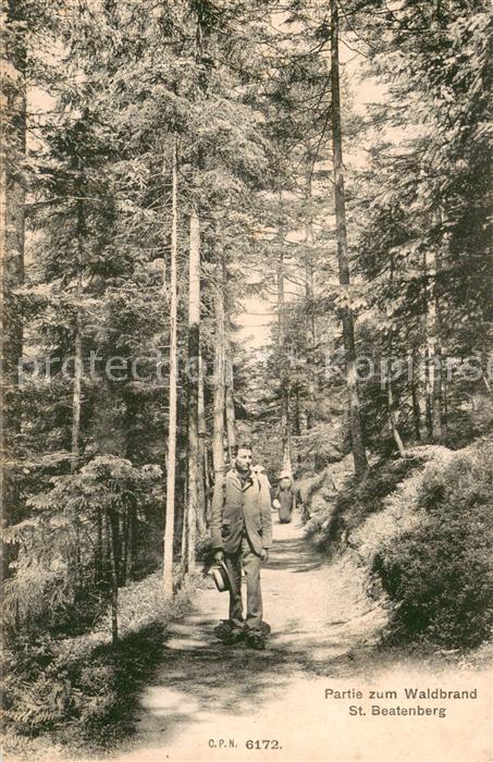 St Beatenberg BE Partie zum Waldbrand