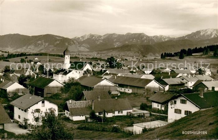 Rosshaupten Forggensee Panorama mit Ammergauer Berge und Kenzenhochgebirge