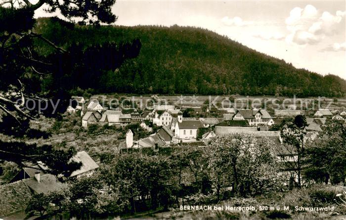 Bernbach Bad Herrenalb Panorama