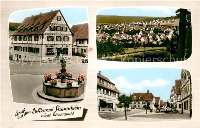 Stammheim Stuttgart Gasthof zum Hirsch Panorama Ortspartie