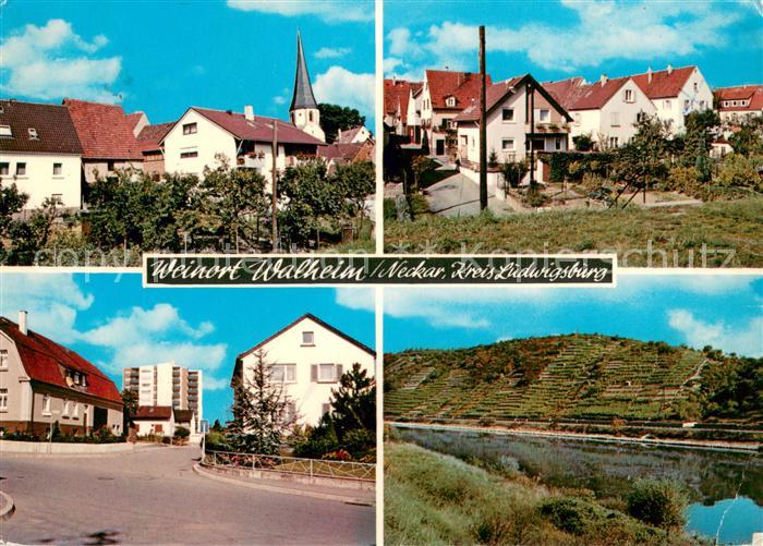 Walheim Wuerttemberg Ortsansichten Neckarpartie
