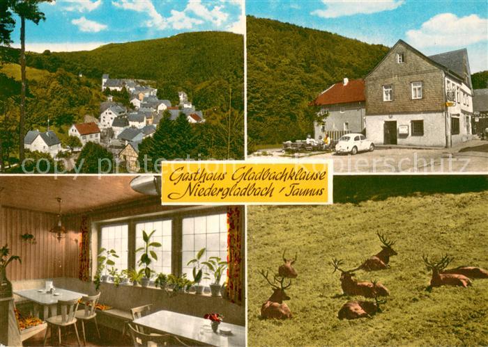 Niedergladbach Panorama Gasthaus Gladbachklause Gaststube Hirschgehege