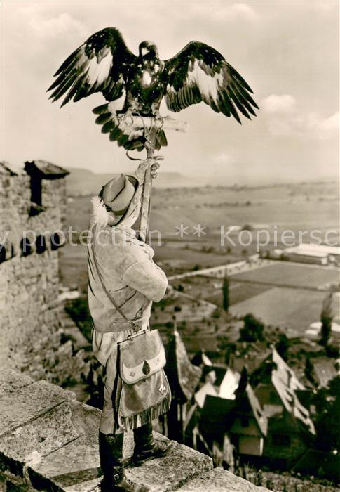 Heilbronn Neckar Dt Jagd Falkenhof Burgfalknerei Hohenbeilstein Falkner mit Stei