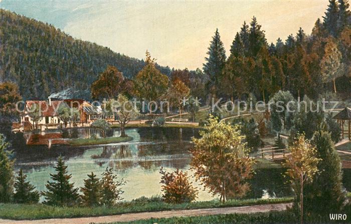 Verlag WIRO Wiedemann Nr. Nr.2452 A Triberg Schwarzwald Bergsee