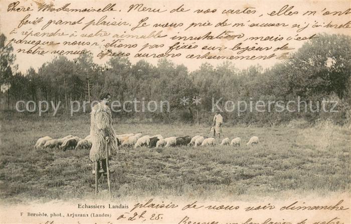 Landwirtschaft Echassiers Landais