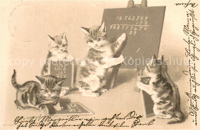 Katzen N.1108 Katzenschuler