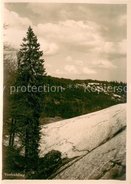 Foto Gutermann Vorfuehling