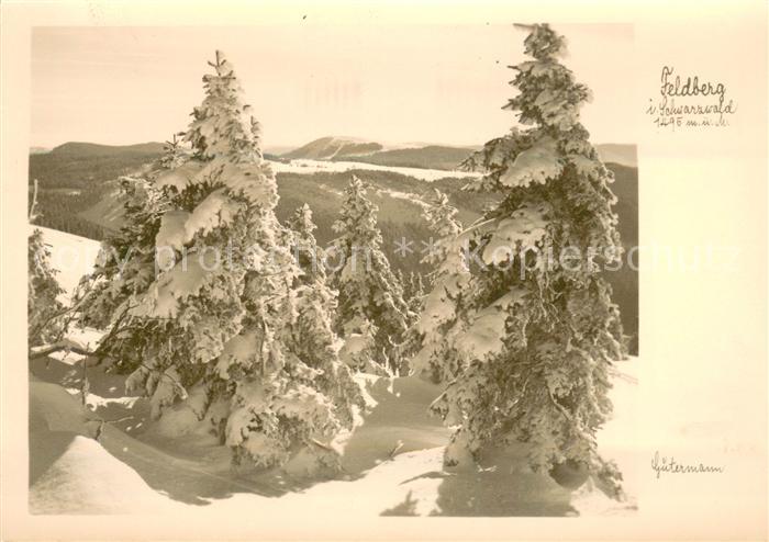 Foto Gutermann Feldberg