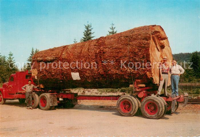 Landwirtschaft Holz Baum Tree